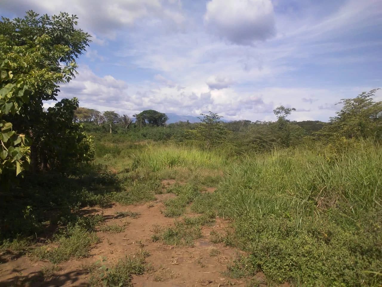 Large commercial property for sale in the Papagayo area, close to the Marina Papagayo or Four Season luxury hotel - photo 2