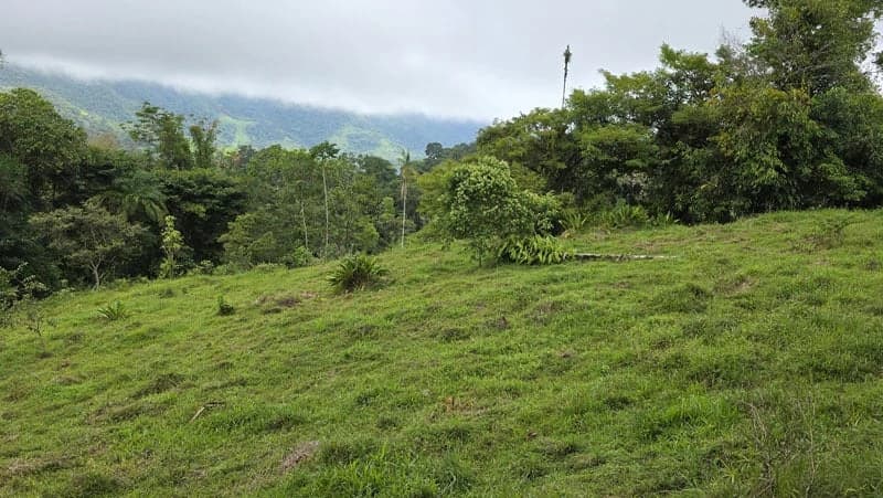 116-Hectare Finca for Sale Near Uvita with Whales Tail Views and 10 Waterfalls | La Faralla, Bahia Ballena, Uvita, Puntarenas, Costa Rica - photo 74