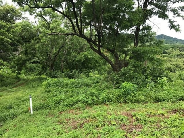 Big property with ocean view - photo 6