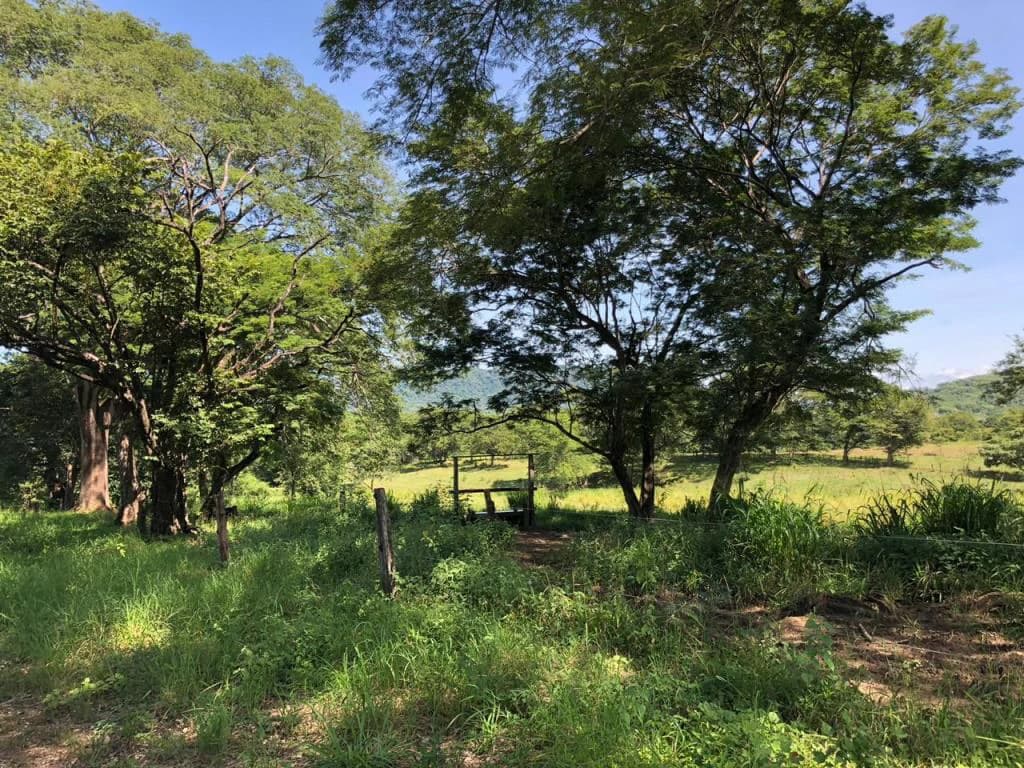 Huge dream Cattle farm for sale with 2 houses close to the Gulf of Nicoya, Guanacaste, Costa Rica - photo 32