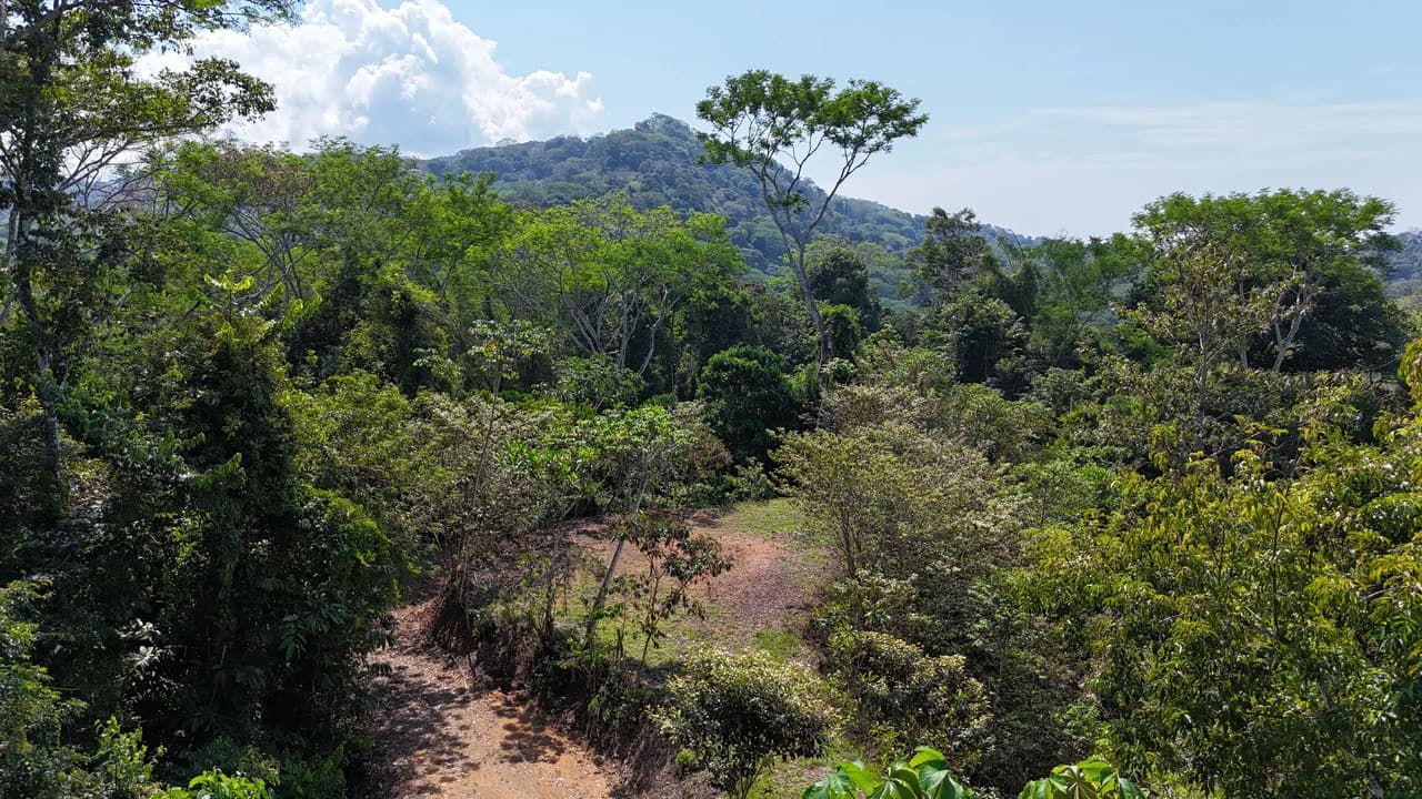 Exceptional Development Opportunity 71 acre Riverfront & Ocean View in Hatillo - photo 13