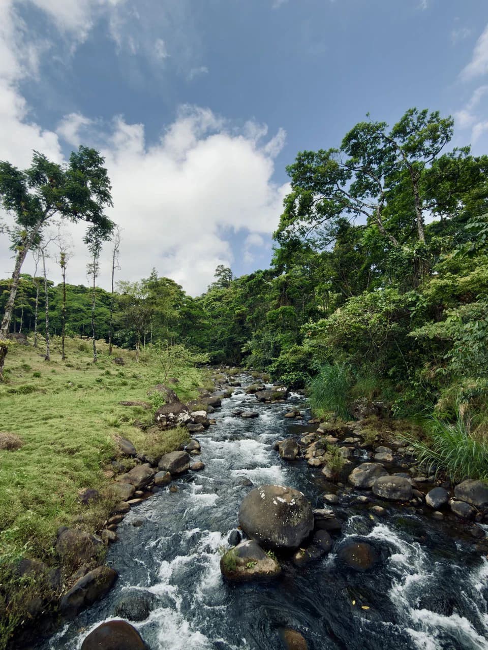Finca Abuelo: Riverfront, Mountain and Countryside Agricultural Land For Sale in Aguas Claras - photo 5
