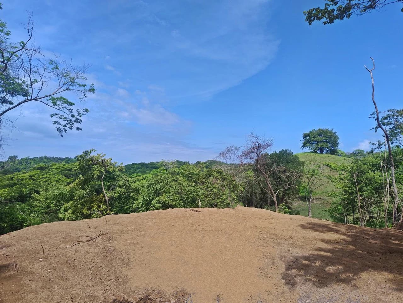 Hilltop Lot Surrounded by Nature - photo 1