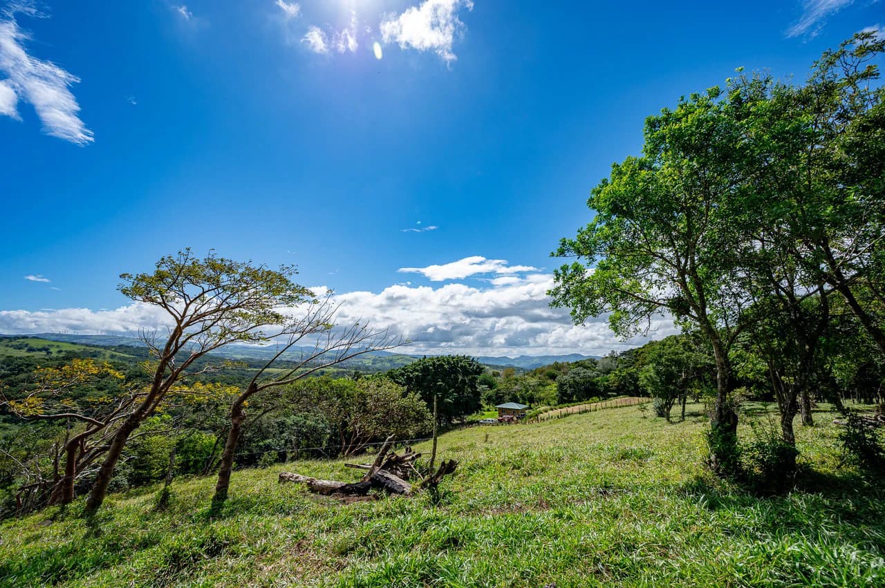 LA CABAÑA - 13+ ACRES & a TINY HOUSE & outstanding VIEWS - REDUCED PRICE - SELLER MOTIVATED - photo 36