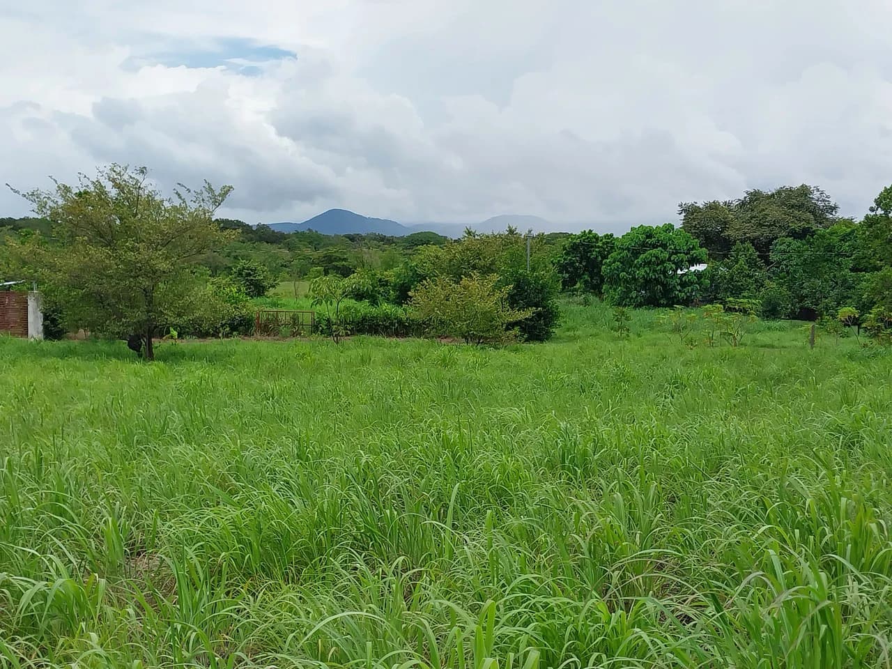 T-182: Volcano view and lot for Sale in Liberia - photo 9