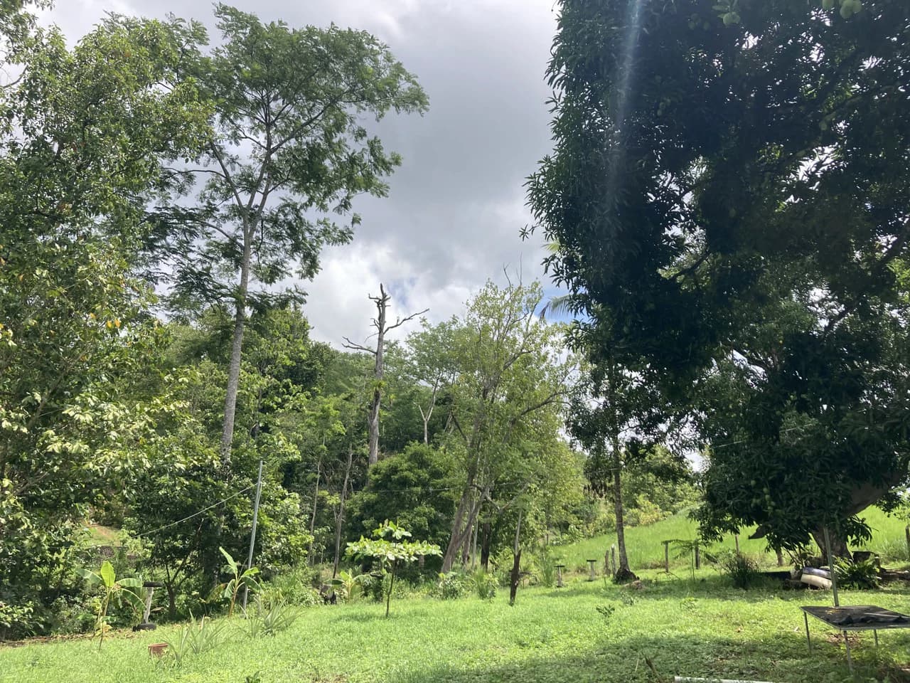 Frog Desing House: Property for Sale in Parrita, Costa Rica - photo 23