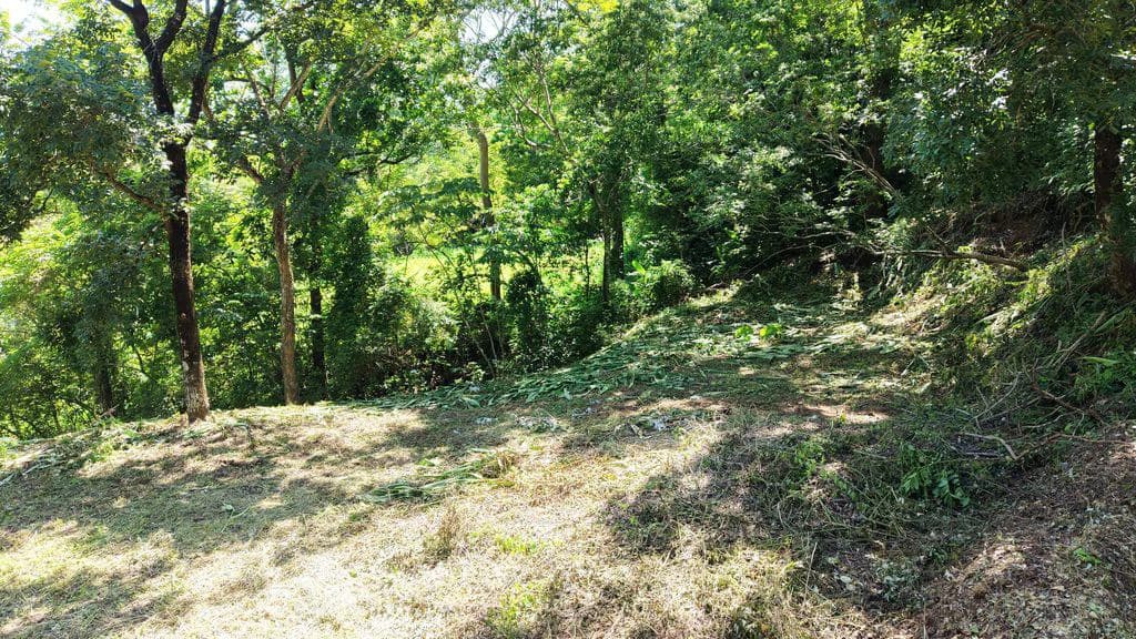 Lote Budry: Exclusive Elevated Lot with Stunning Mountain & Jungle Views Near Samara Beach - photo 5
