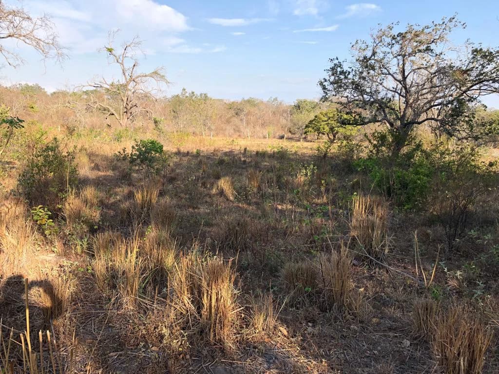 Airport Property - in front of route 21, Liberia - photo 12