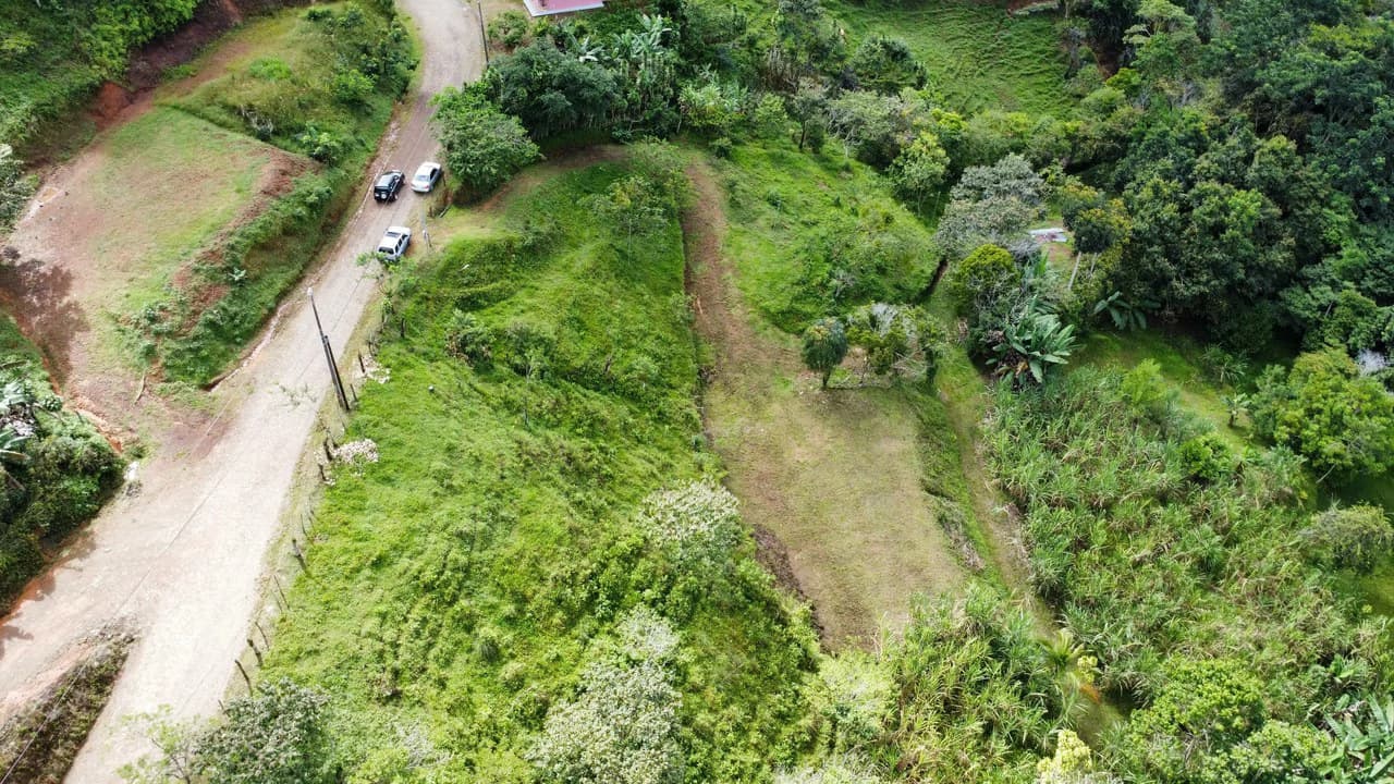 Propiedad en San Blas: Mountain Agricultural Land For Sale in La Linda General Viejo - photo 2