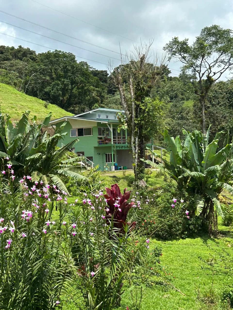 THE HOMESTEAD - Off-Grid Eco-Paradise for Sale in Nuevo Arenal, Costa Rica. - photo 6