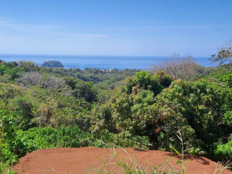 Lote Pacifico: Rare Ocean-View Parcel, Just Minutes from Samara Beach - photo 2