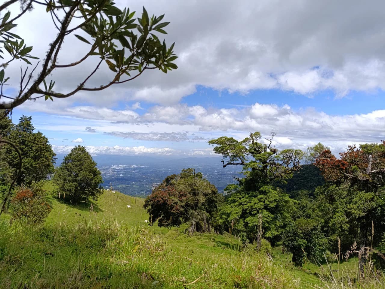 Tourism or Development?: Beautiful 56 ha with riverfront access - photo 4