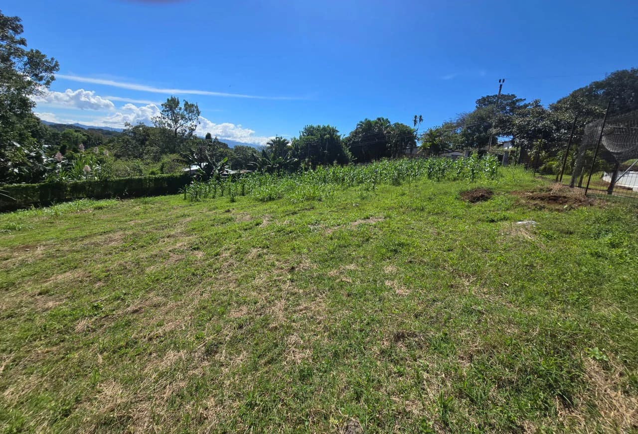 Land for sale in Tambor, Alajuela - photo 7