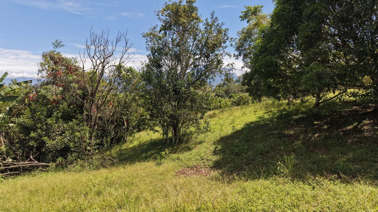 Home Construction Site For Sale in Cajón - photo 3