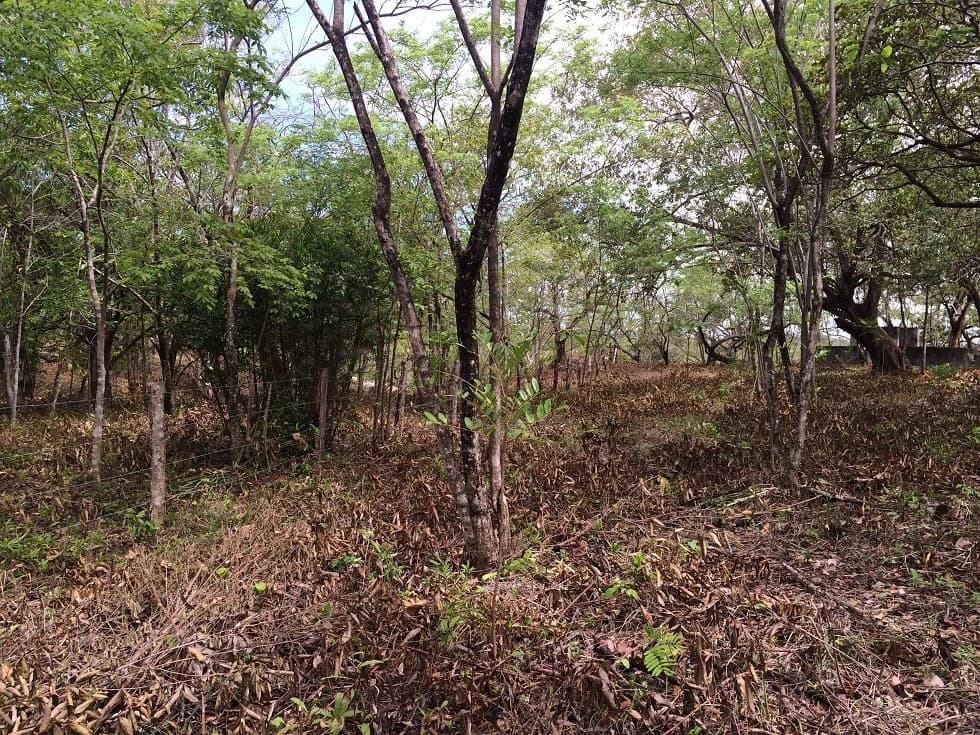 Finca grande: Economic Building property for sale in El Salto, with private access to the surrounding beautiful nature with own river - photo 7
