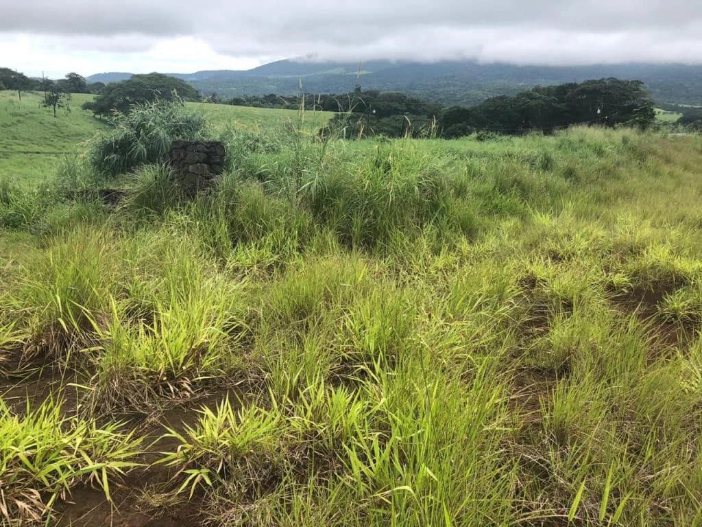 Lot with High Development Potential in Bijagua, Valle de Miravalles, Costa Rica - photo 9