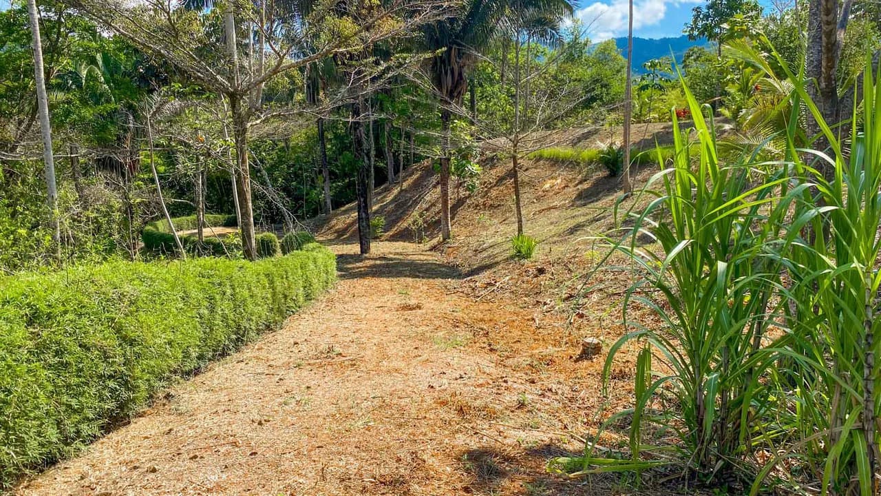 32 Acre Self Sustainable Farm with House Close Ojochal - photo 49