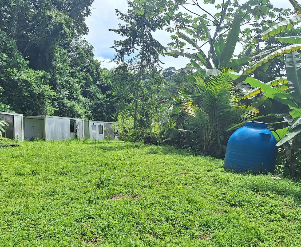 Exceptional Ocean & Mountain View Property in Pinuela Arriba, Costa Rica - photo 16