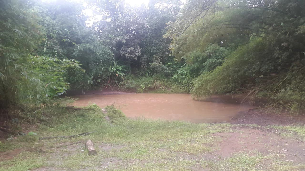 Countryside Development Parcel For Sale in Cariari - photo 15