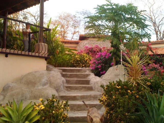 LA IGUANA: PREMIUM GULF VIEW ESTATE & RESORT OPPORTUNITY - photo 6