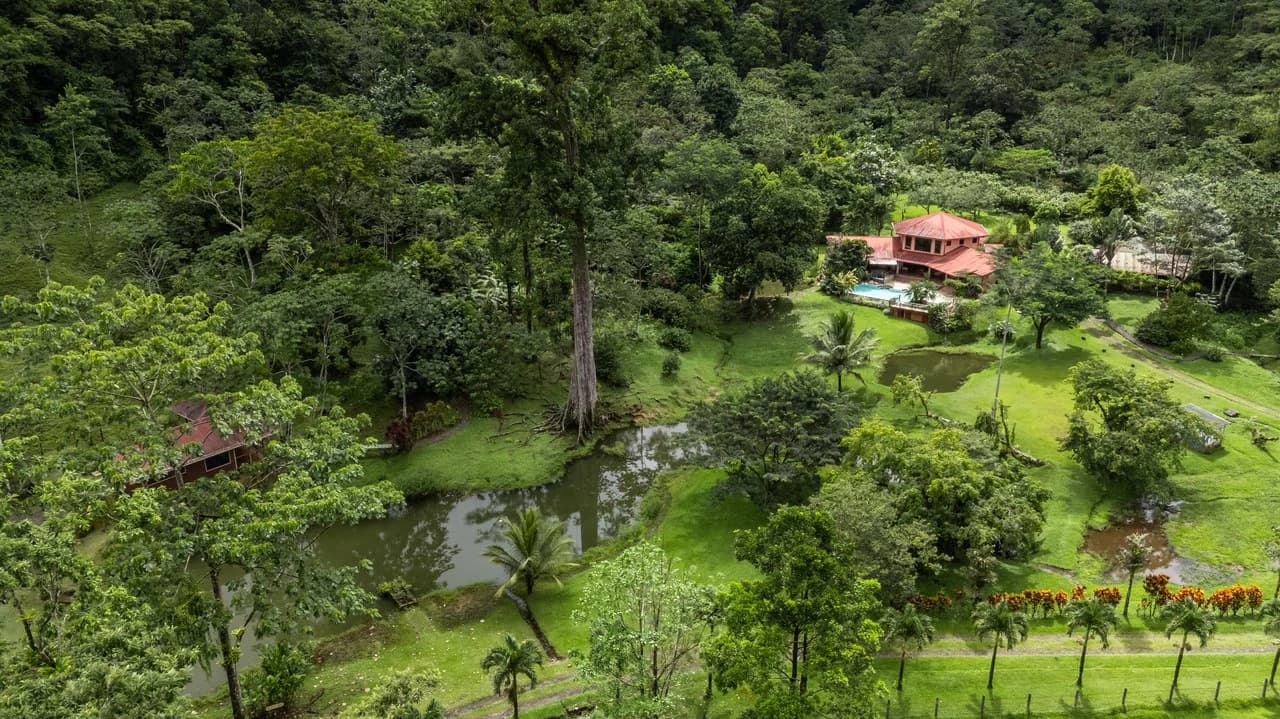 Finca Mei Tai: Enchanting property! Don't miss your chance to own a piece of paradise! - photo 23