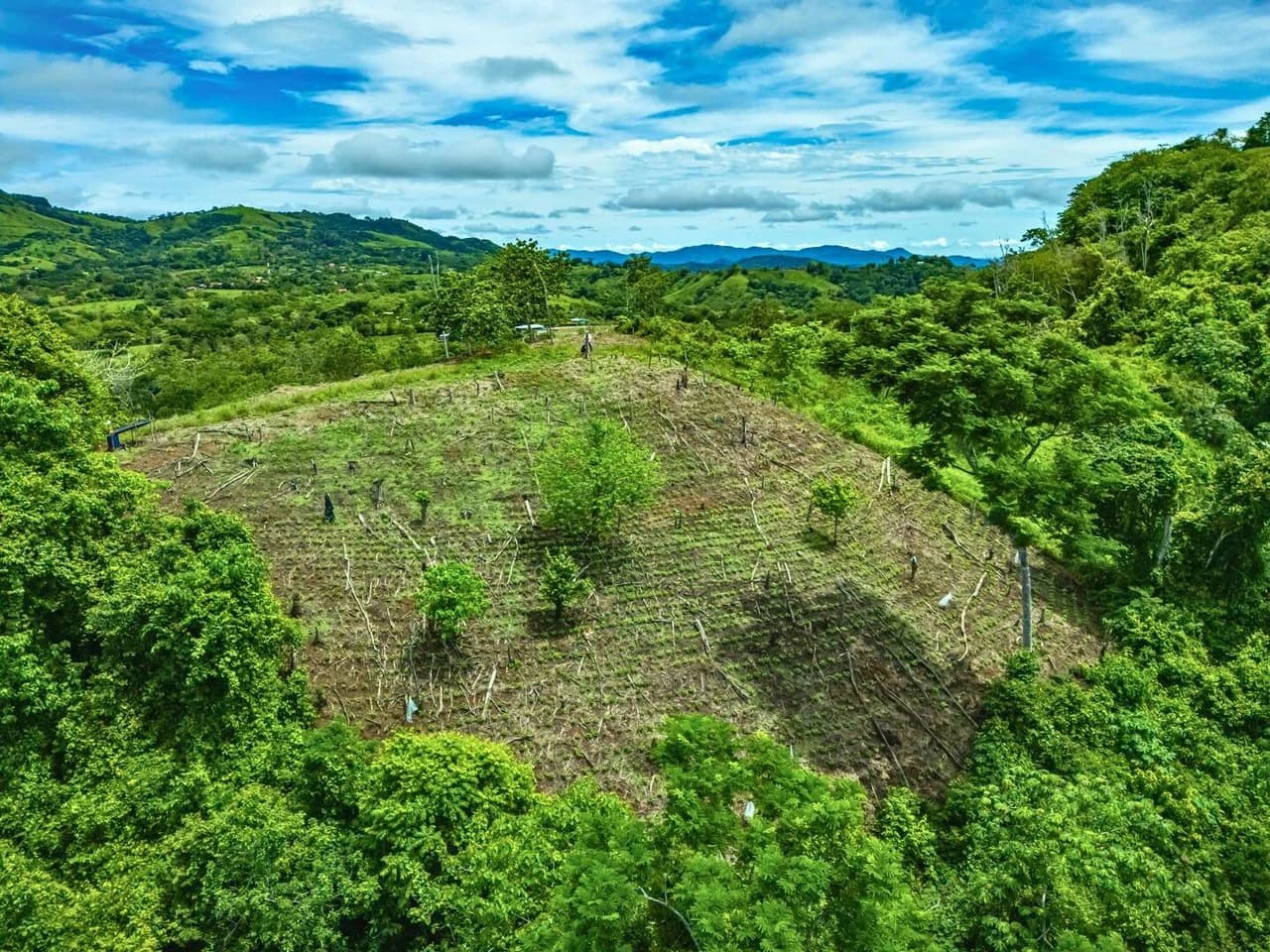 Gulf View Mountain Farm - photo 15