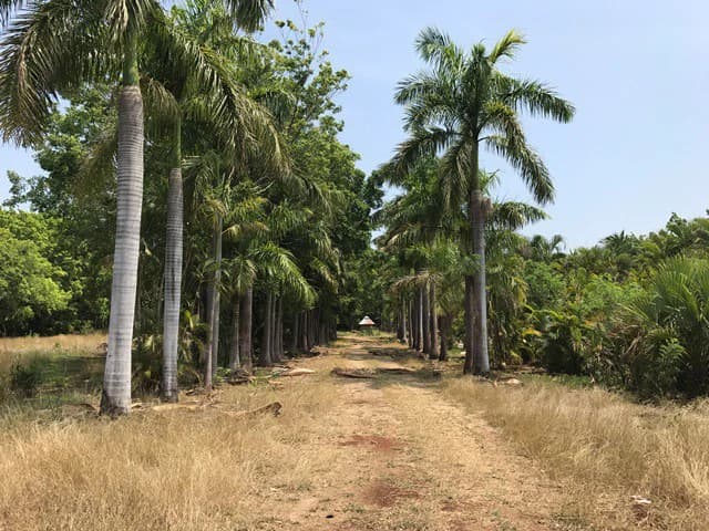 Great property in Santa Cruz: Excellent opportunity to develop in excellent location - photo 4