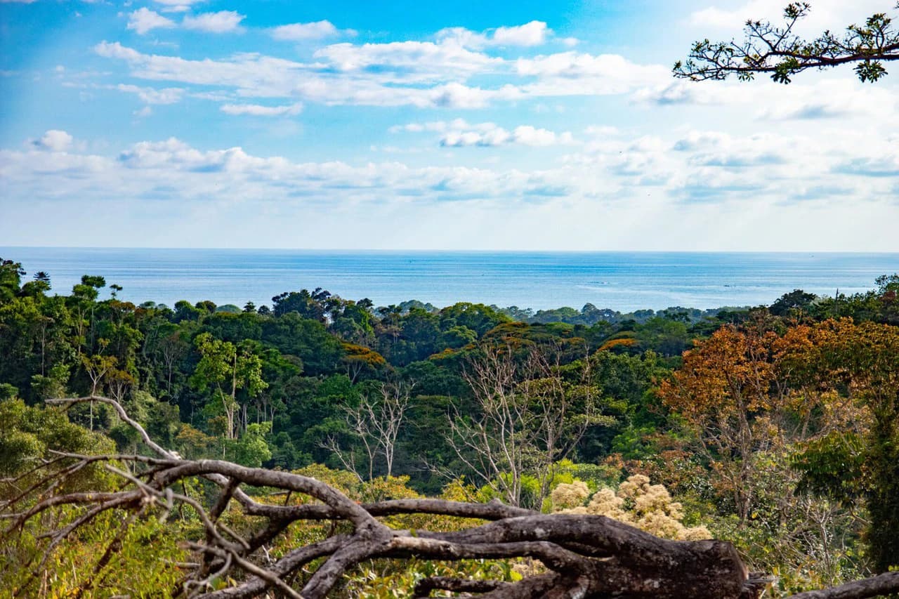 10 ACRES – Rare Ocean View Development Or Estate Property In Uvita – With Waterfall!!! - photo 5