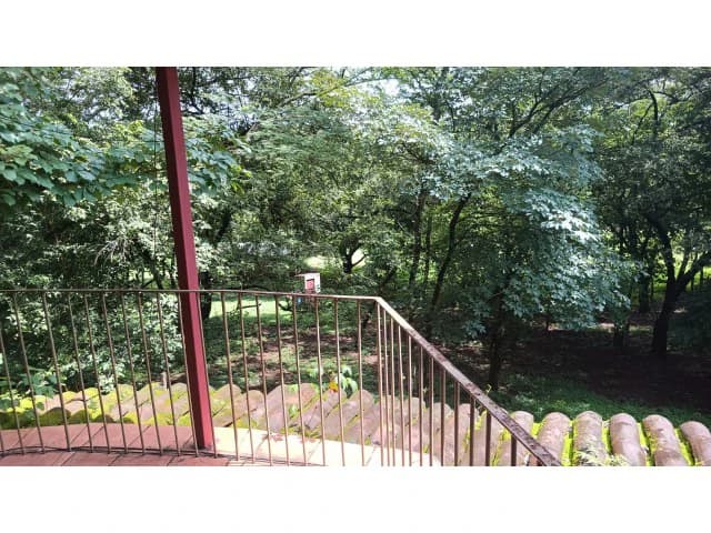 Dream Ranch for Sale with Houses and Horse Stable in Guanacaste – Great Investment Opportunity - photo 42
