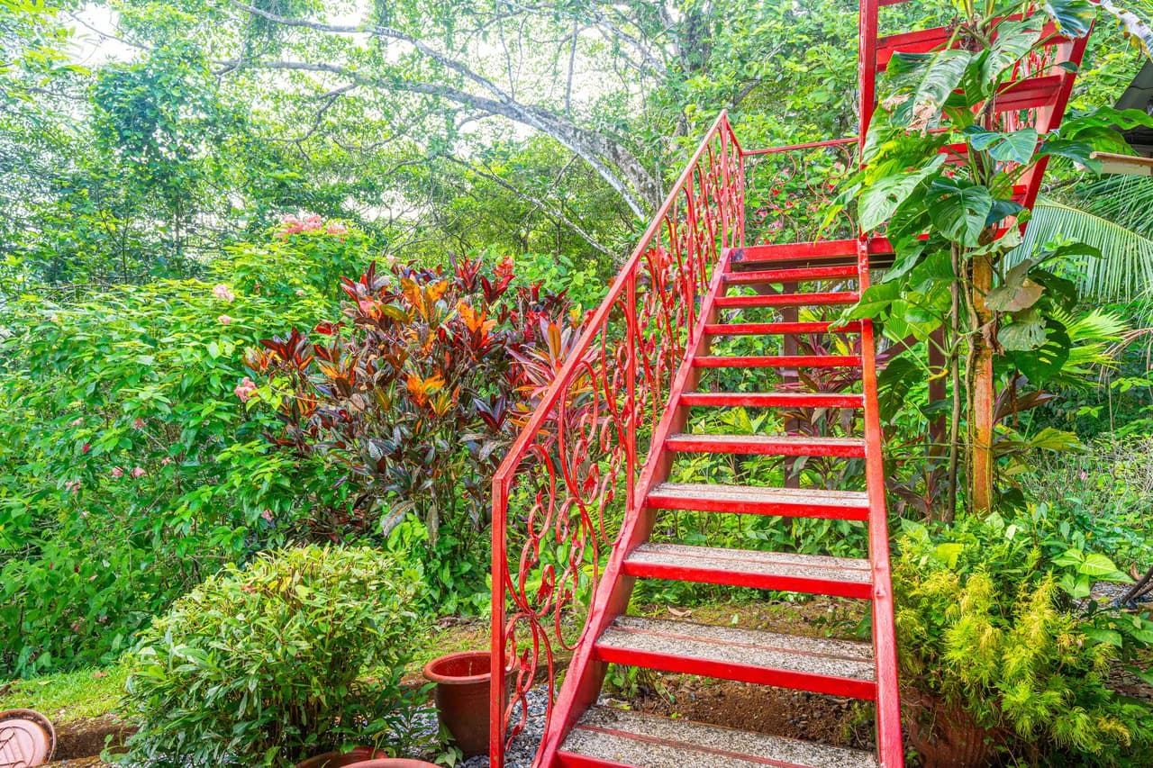Amazing Mountain View and Ocean View House and Guest House on 4.5 Acres of land in Ojochal - photo 19