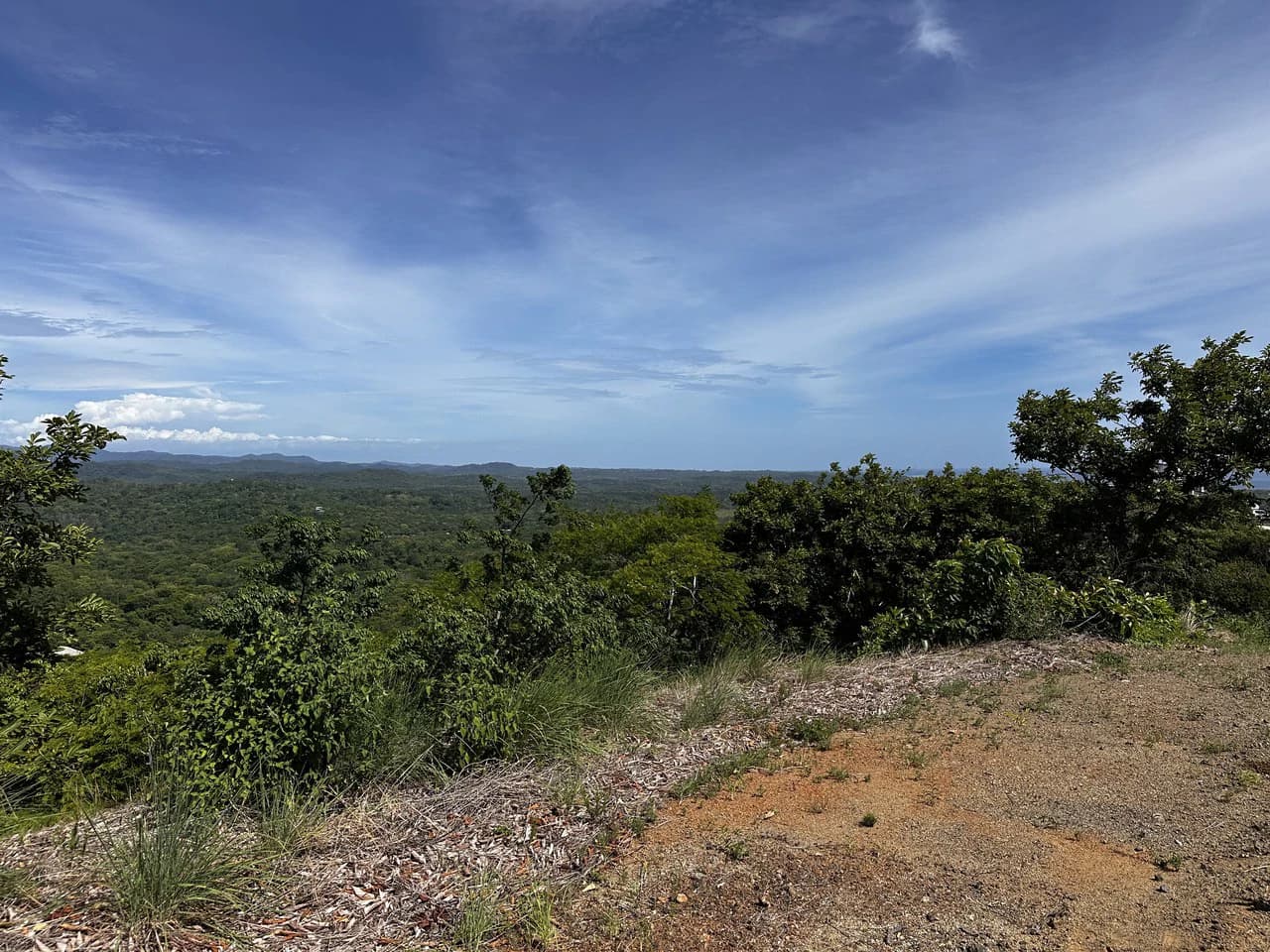 Ocean View Lot Negra Beach: Ocean View Hilltop Lot In Negra Beach, Finca Los Pargos - photo 6