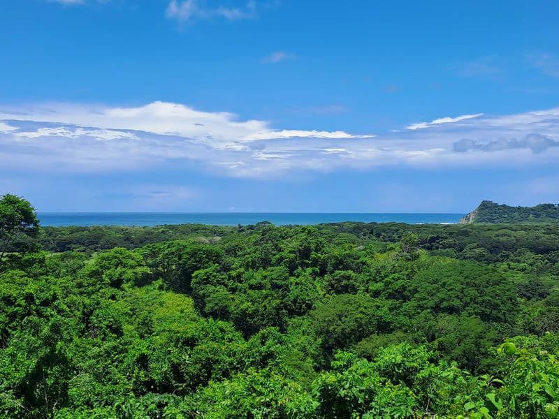 Villa Buena Vista y Lote Linda Vista: Exceptional 2.8-Acre Estate with Luxury 4-Bedroom Home, Panoramic Views, and Expansion Lot, Just Minutes from Samara - photo 6