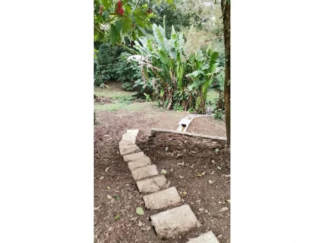 Countryside, Lakefront and Mountain House For Sale in Arenal - photo 3