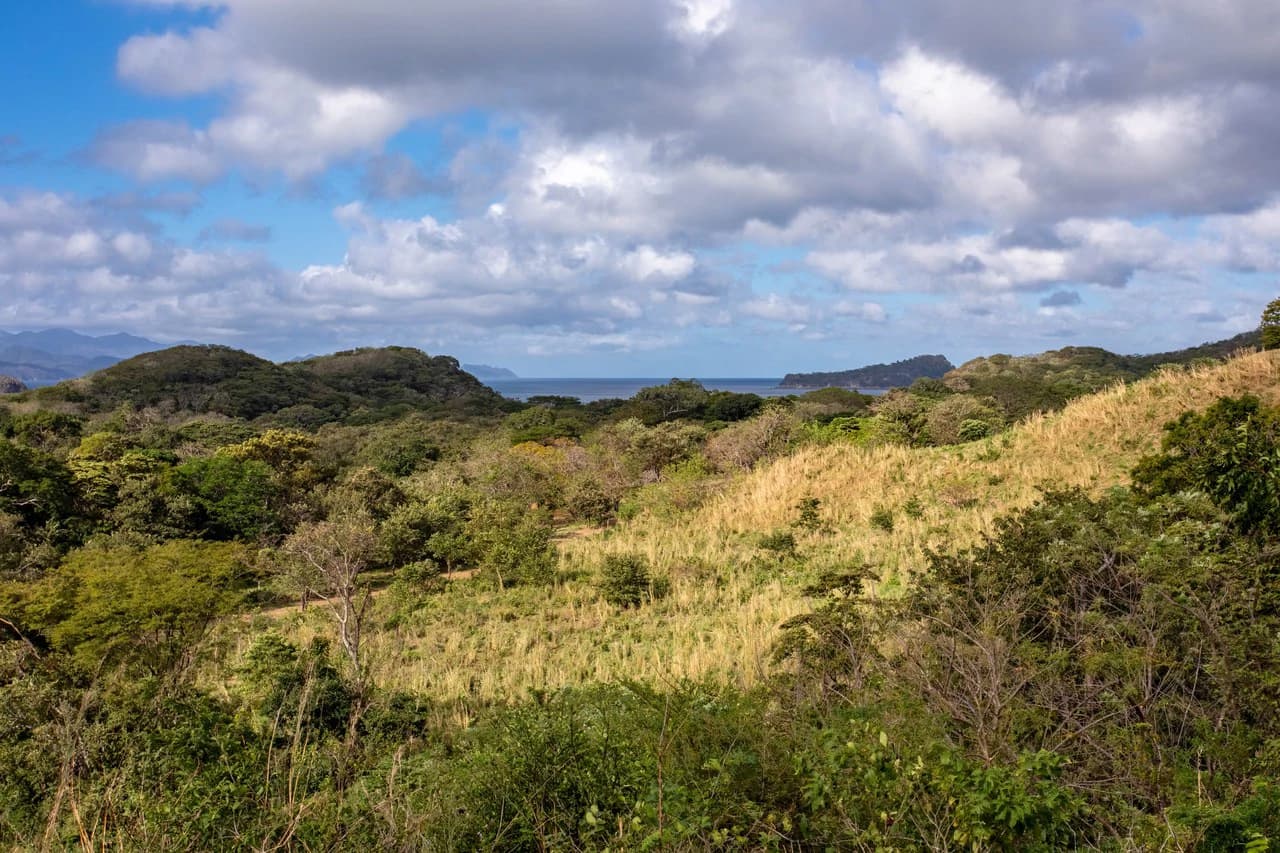 220 Acres Beachside Farm with Ocean View at Playa Junquillal in Guanacaste - photo 13