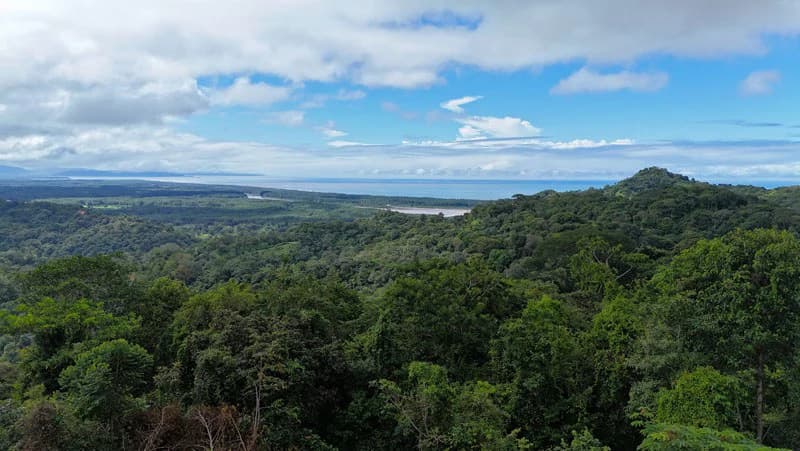 Unparalleled Beauty with Awe-Inspiring Ocean Views in Tres Rios // Legal Water Available! - photo 10