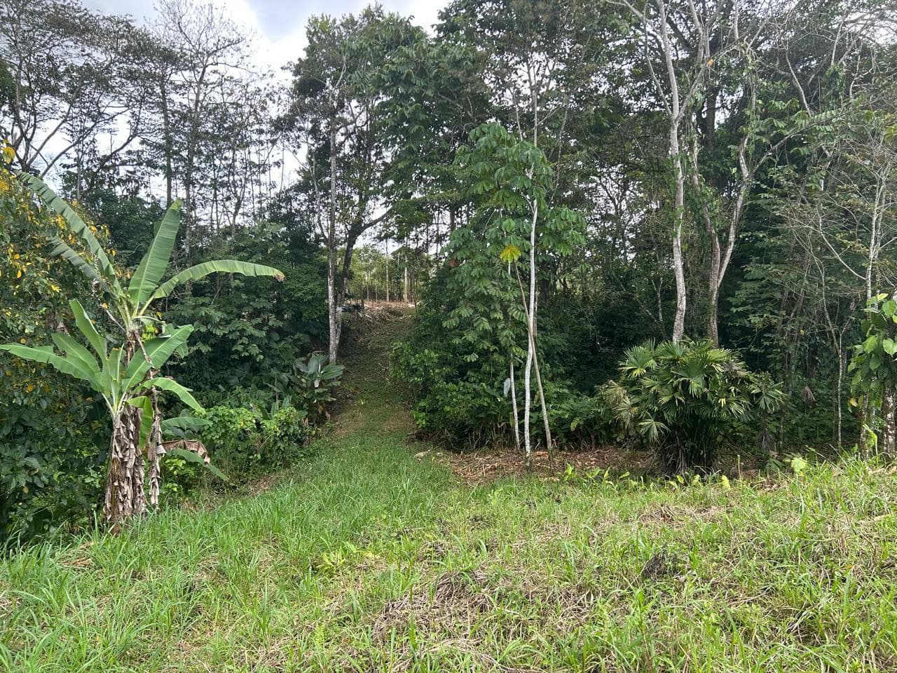 $8 Dollars per meter: Countryside Development Parcel For Sale in Los Angeles - photo 7