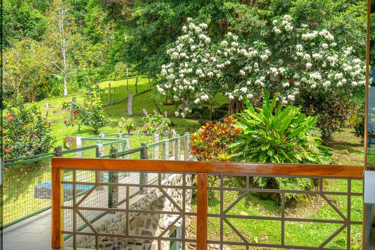 Mountain House For Sale in Savegre - photo 47