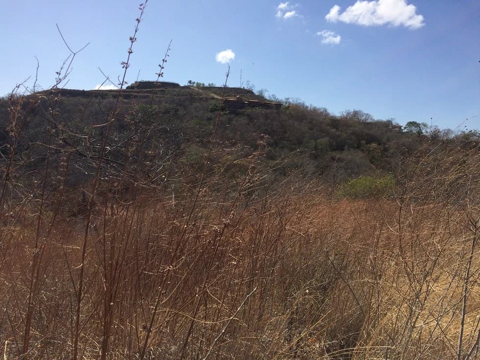 Ocean view property in the area of Guanacaste, great commercial opportunity near the Hotel Riu - photo 8