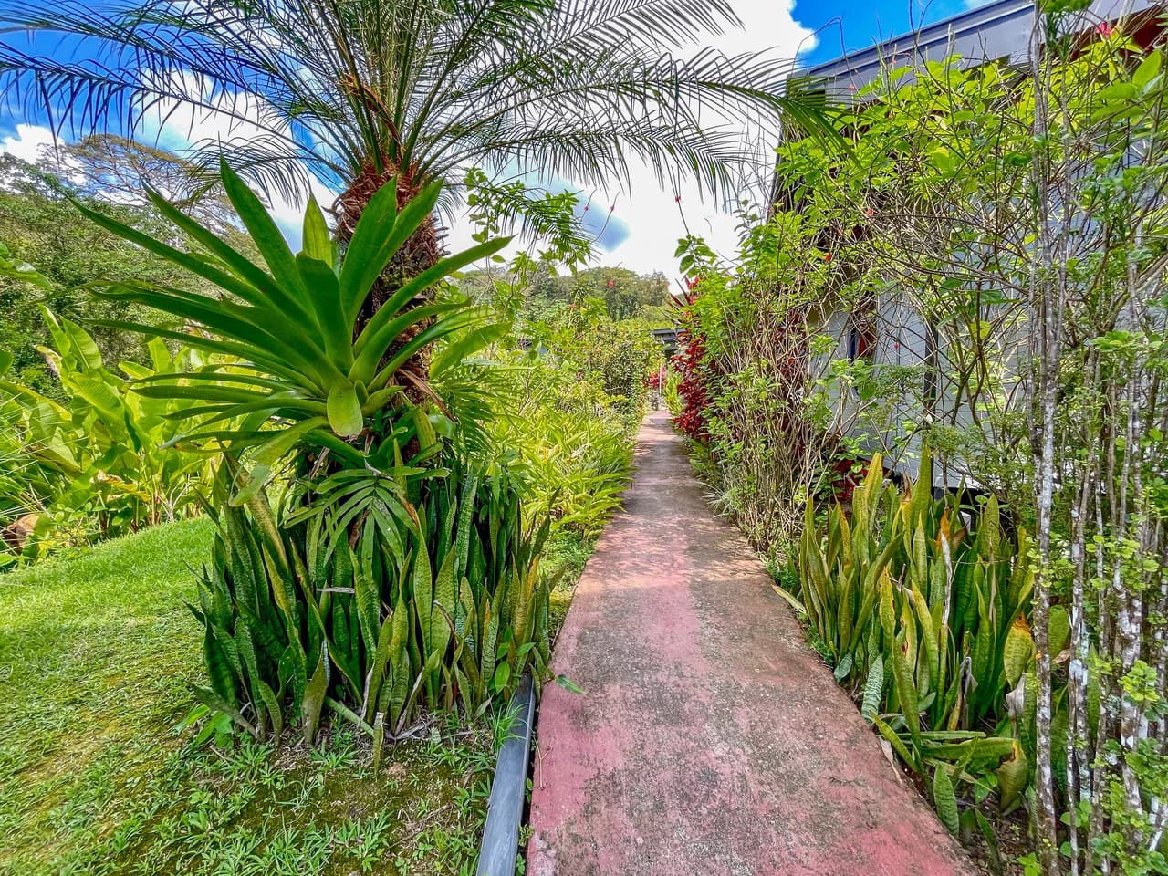 2.24 ACRES – 7 Bedrooms Ocean View Boutique Hotel With Two Pools, 5 Minutes to Uvita, Multiple Rental Options!! - photo 10