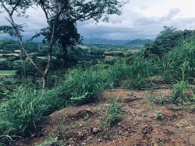 Amazing 50% discount for Huge ocean-view farm for sale surrounded by soft rolling hills and pristine nature - photo 37