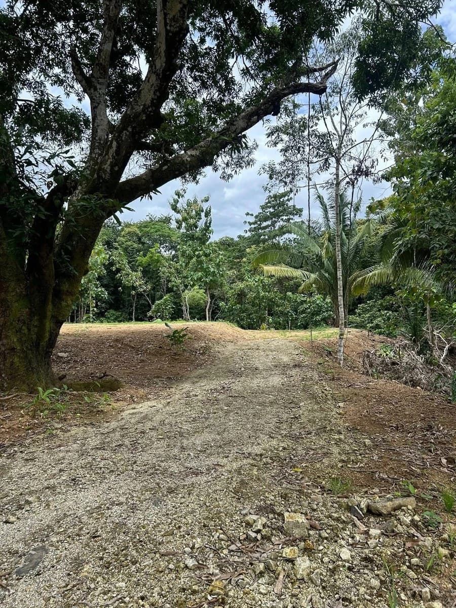 River Frontage Lot For Sale in Costa Rica Residential & Commercial Zoning - photo 19