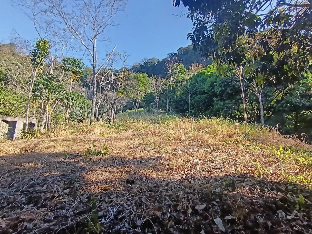 Property for sale in Ciudad Colon San José Costa Rica - photo 4