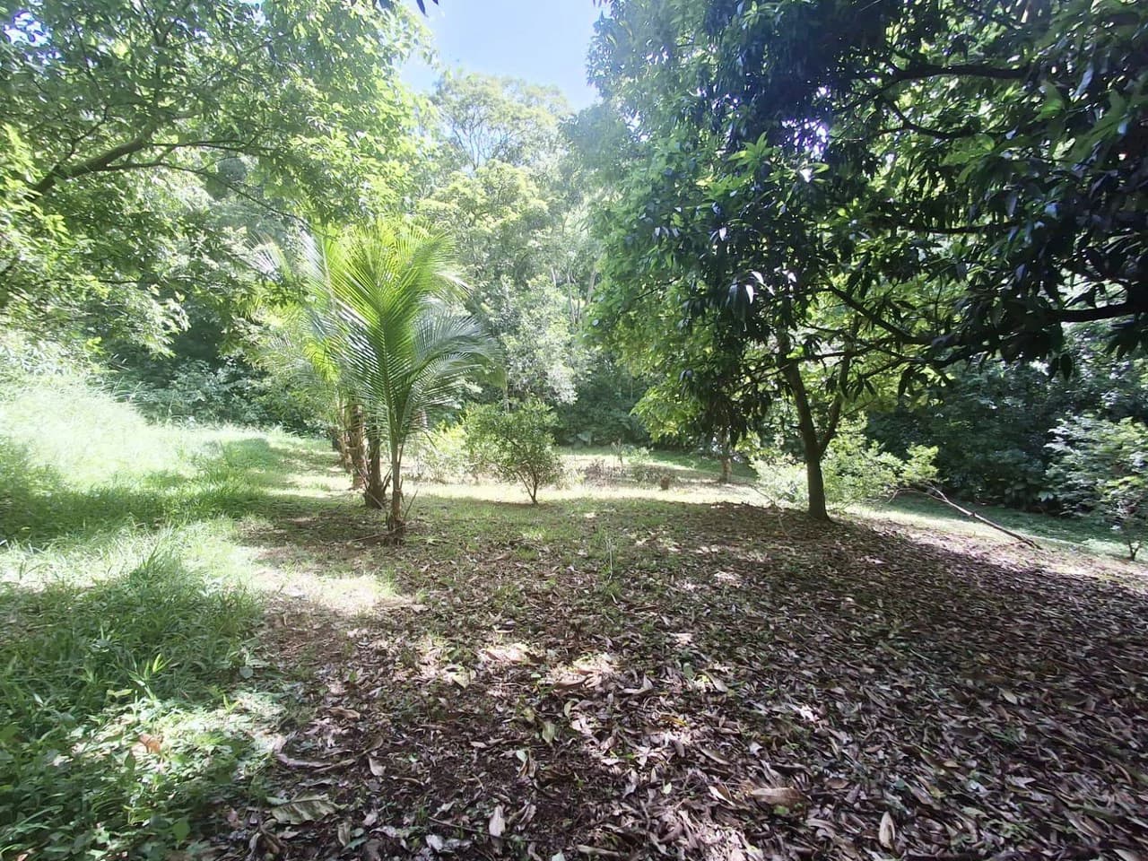 Casa Chalet...: Countryside House For Sale in Atenas - photo 6