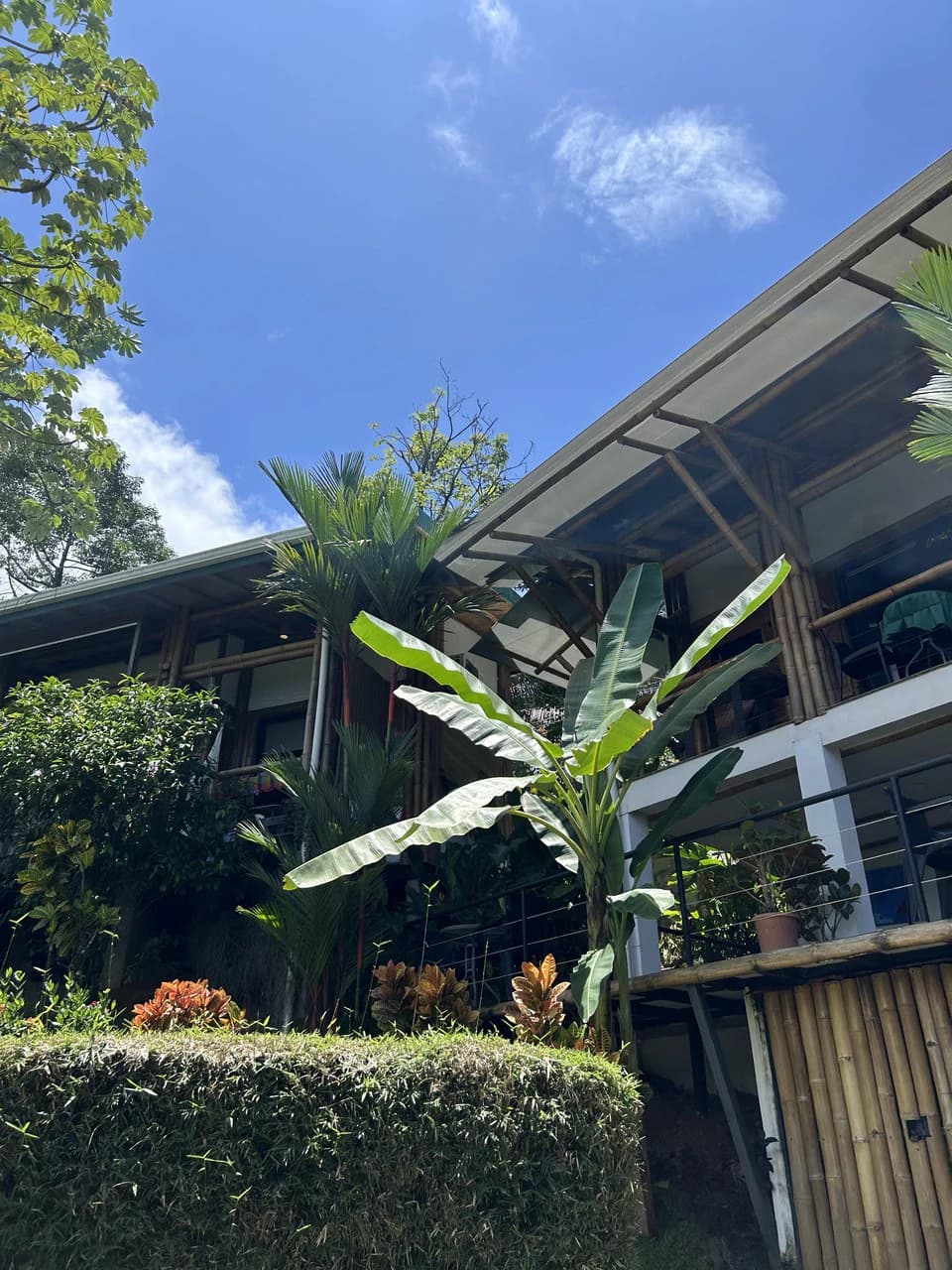Cabinas Bambura: Cabinas Bambura: Successful Airbnb Business with Stunning Mountain & Jungle View - photo 7