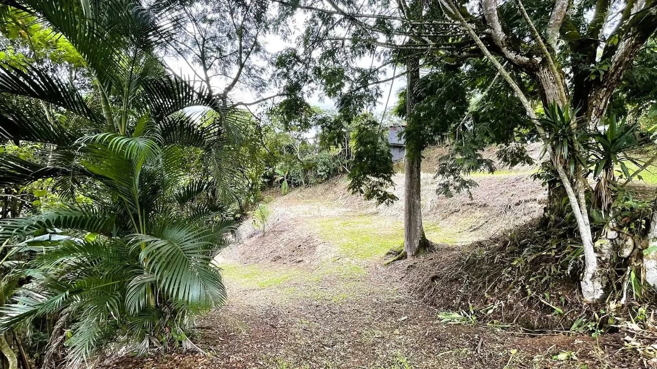 LAND FOR SALE IN SAN MIGUEL, NARANJO - photo 3