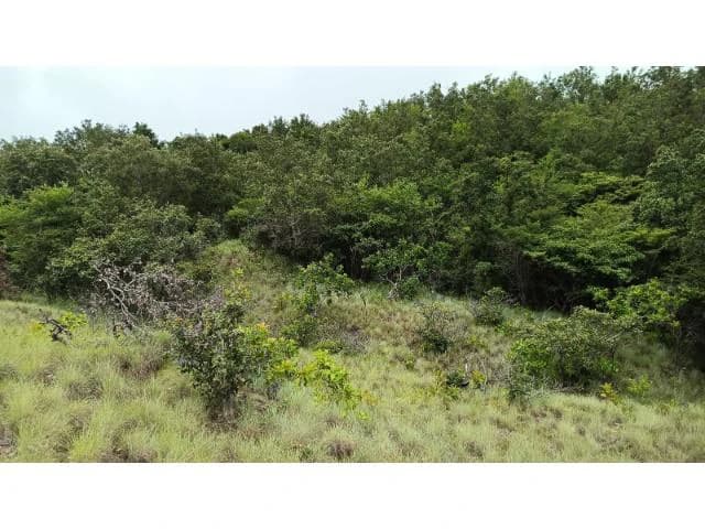 Huge Tico-Farm for sale with a big house in the mountains of Liberia, surrounded by nature and fantastic valley views - photo 32