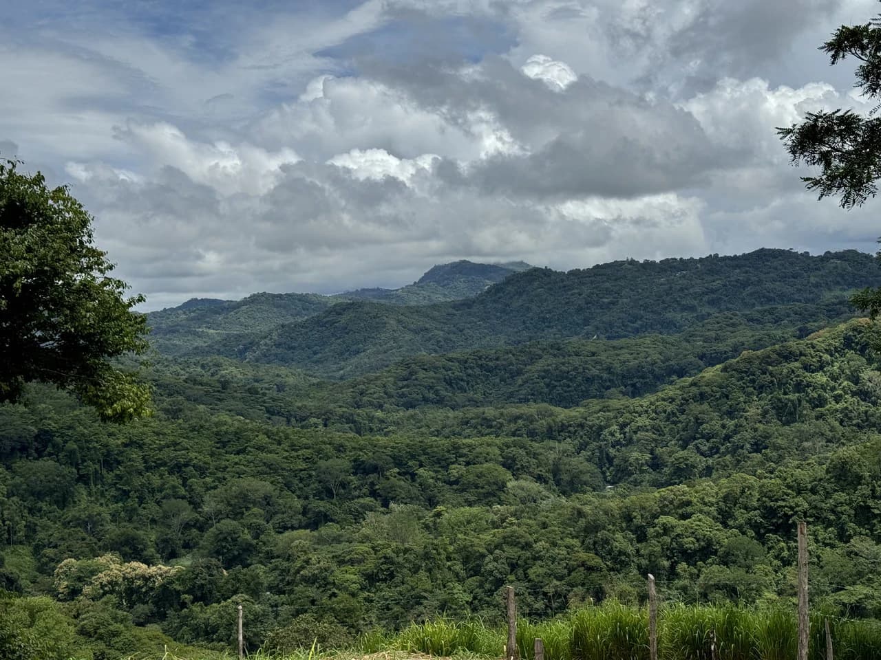 Playa Dominical Mountain Farming Property - photo 18