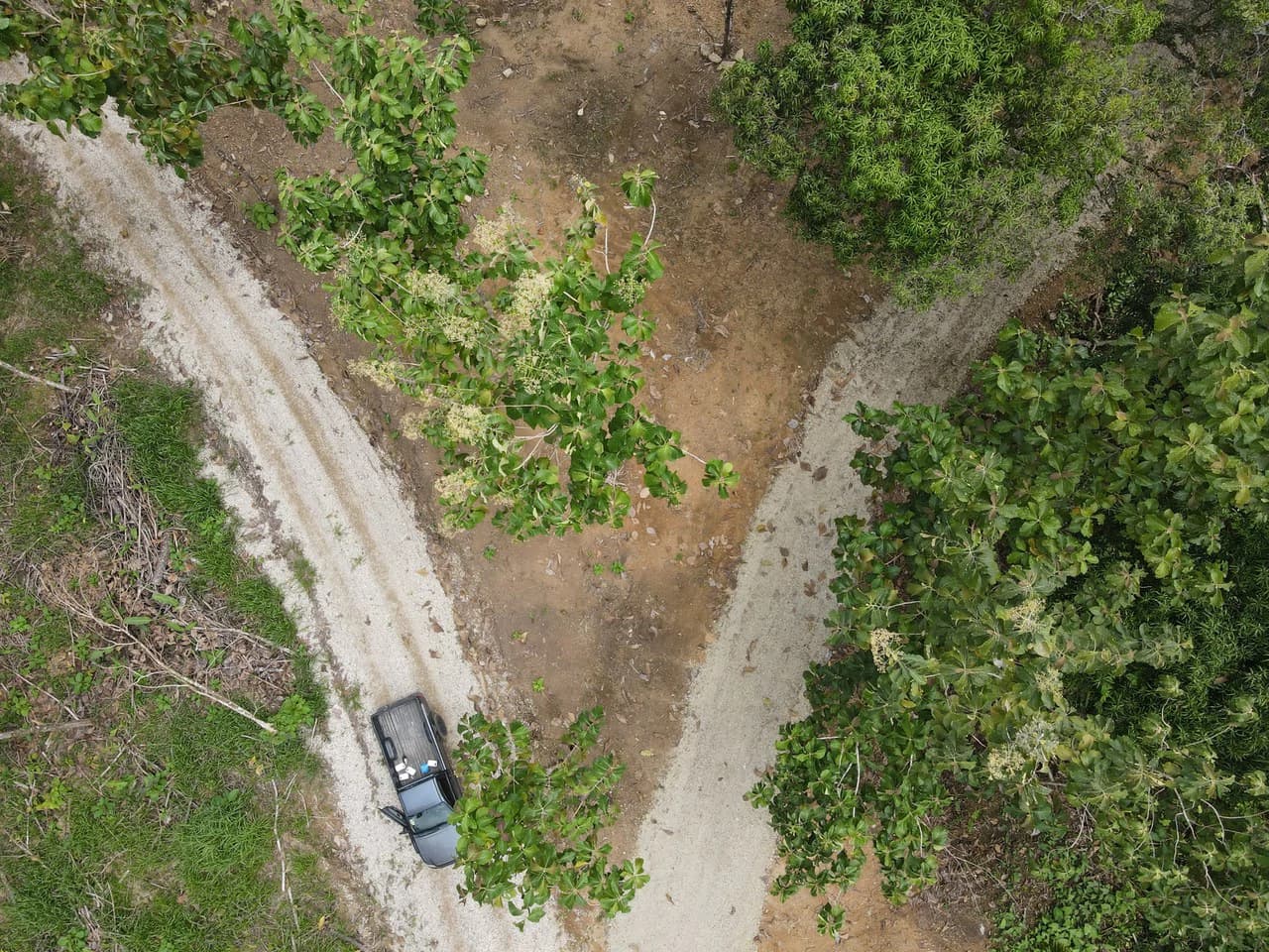 River Frontage Lot For Sale in Costa Rica Residential & Commercial Zoning - photo 23