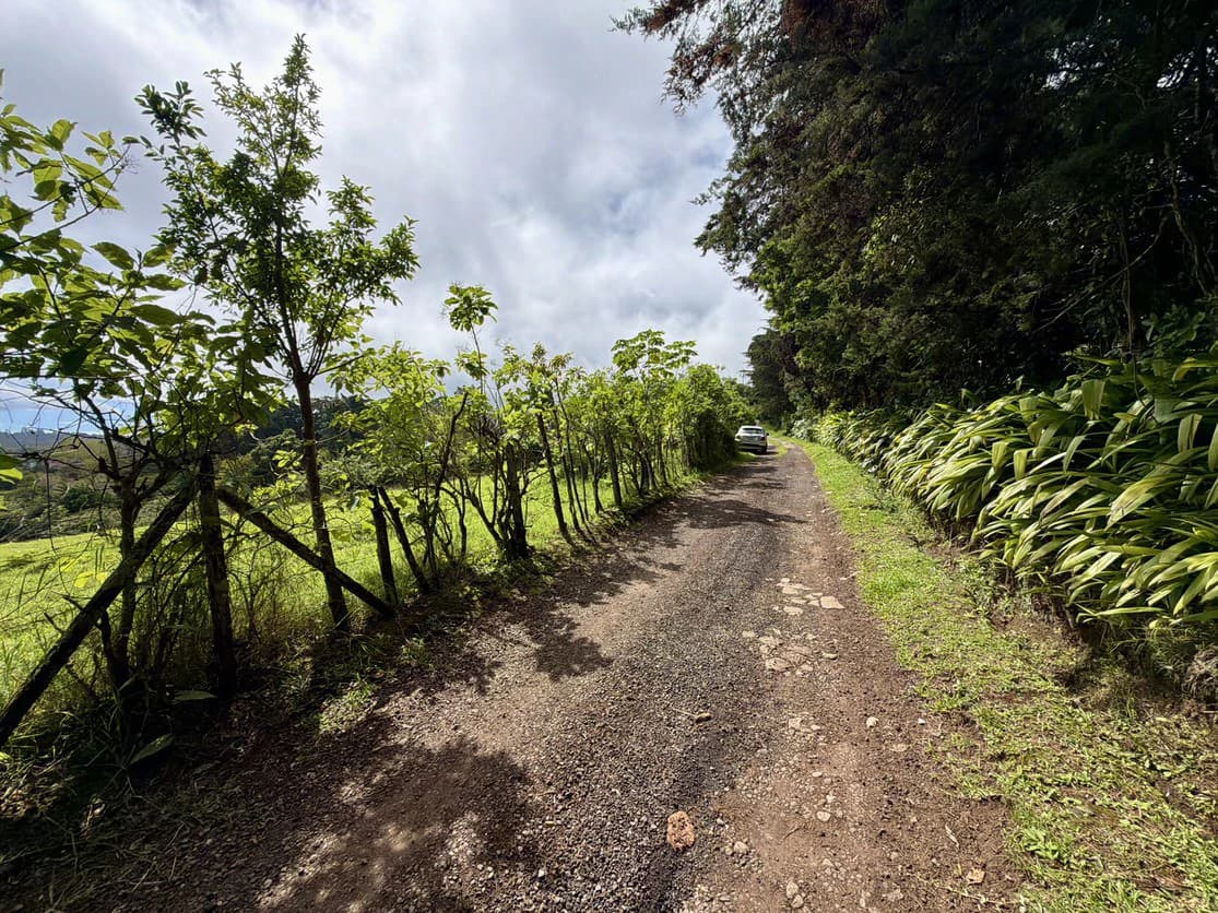 Central Valley Views - photo 11