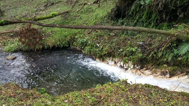 Hot and Cold Thermal Springs for Sale – Beautiful Property in Dos Ríos, Alajuela with Excellent Commercial Potential - photo 90